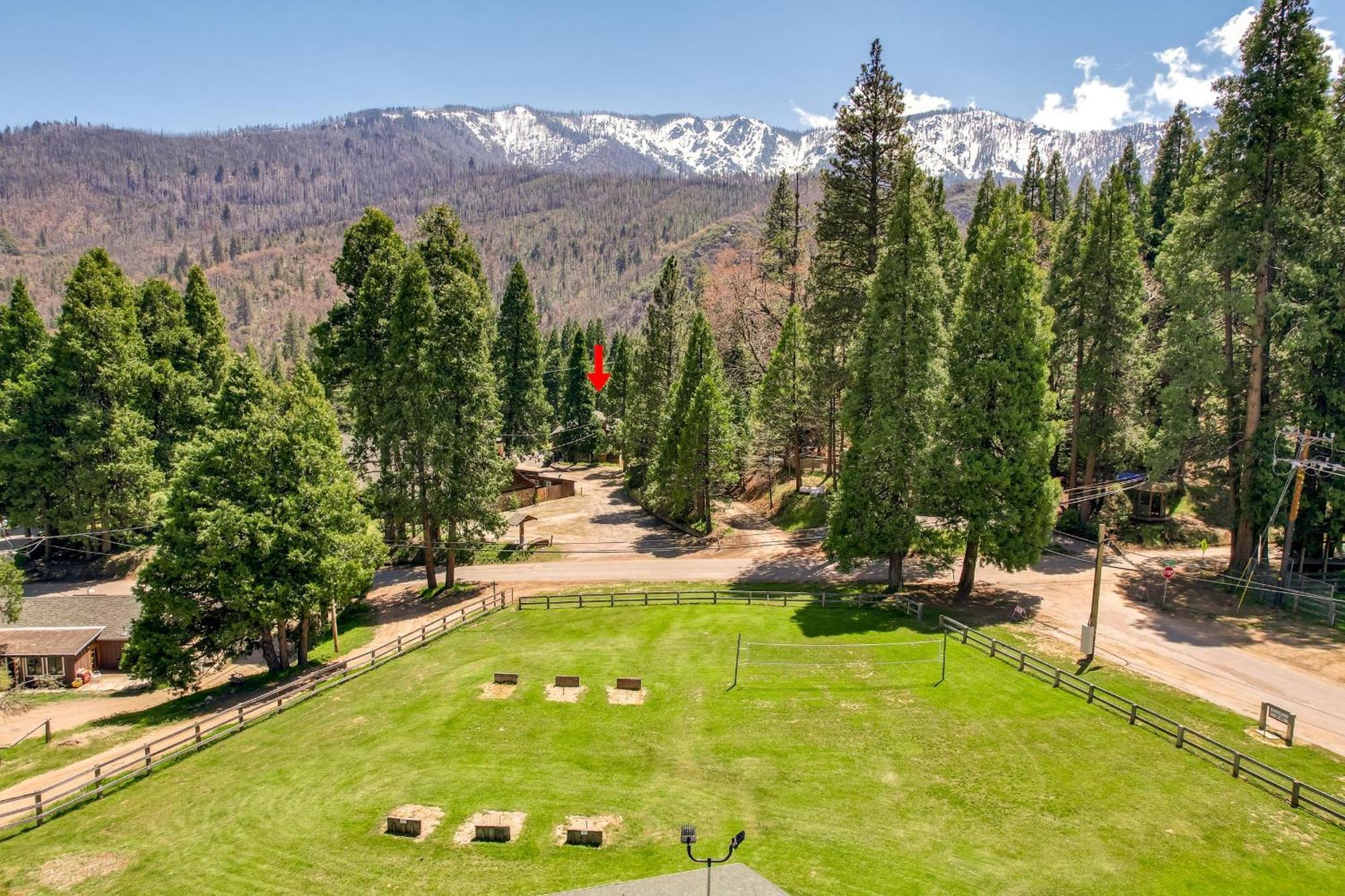 Camp Nelson Lodge Room 2 Ponderosa ภายนอก รูปภาพ